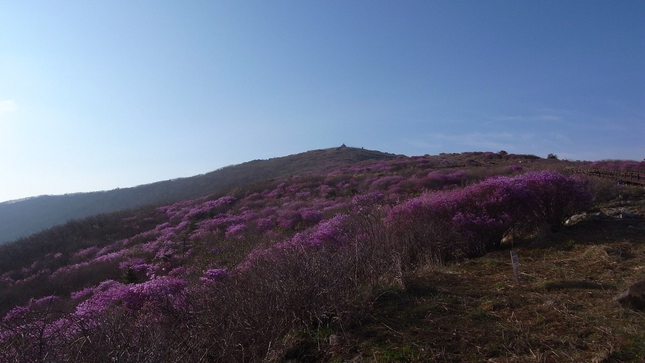 하루라는 그릇에 지리산을 담다 — 성중종주