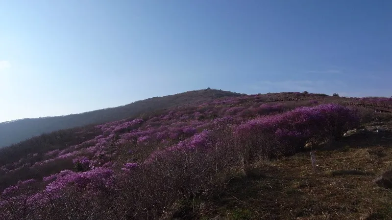 하루라는 그릇에 지리산을 담다 — 성중종주