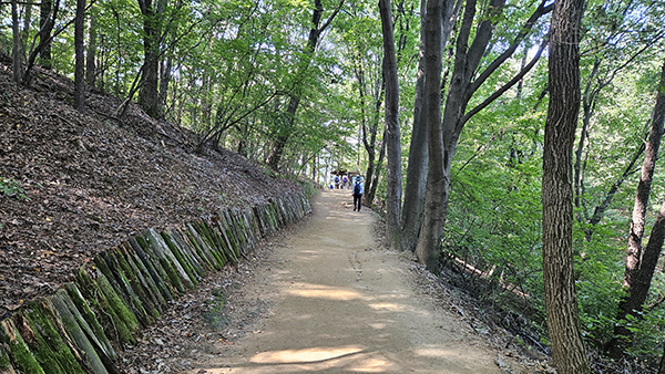 서울둘레길 2.0 9코스 — 대모·구룡산