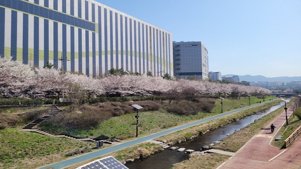 서울둘레길 2.0 8코스 — 장지·탄천