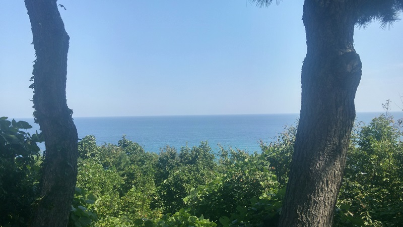 해파랑길 50코스