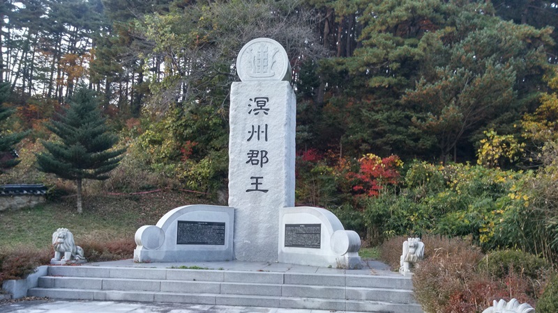바우길 3코스 어명을 받은 소나무길