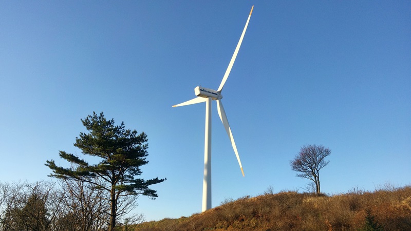 바우길 1코스 선자령 풍차길