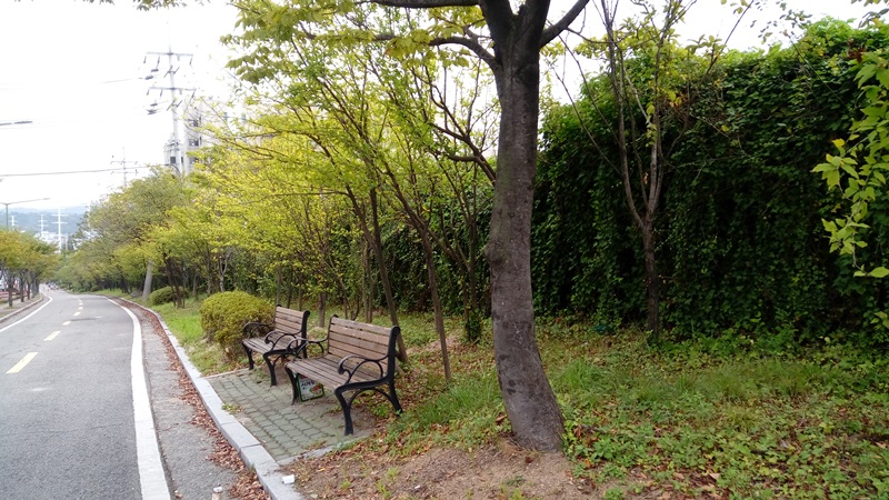 해파랑길 9코스