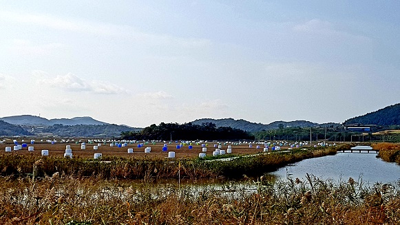 남파랑길 64코스