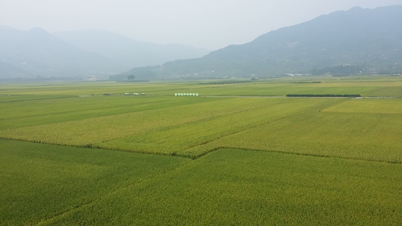 지리산둘레길 14코스(대축-원부춘)