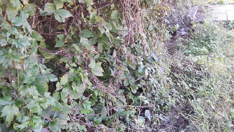 지리산둘레길 21코스(산동-주천)