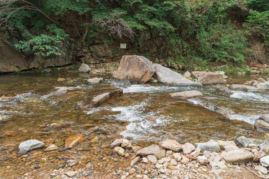 동두천 왕방산 MTB 코스 (대회 코스 참고)