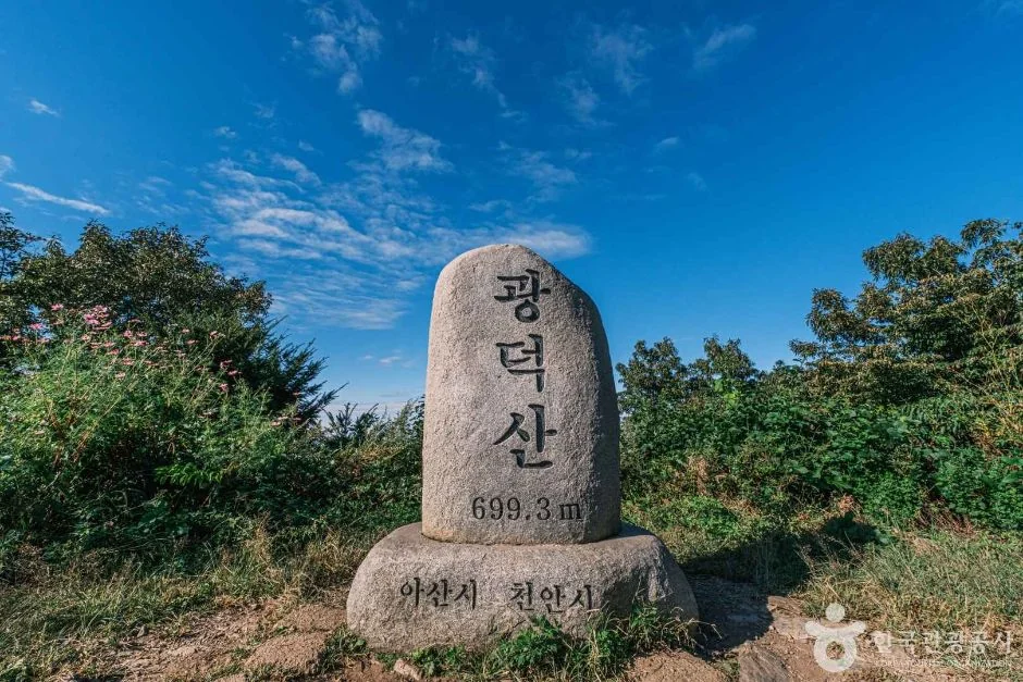 천안 광덕산 임도 코스