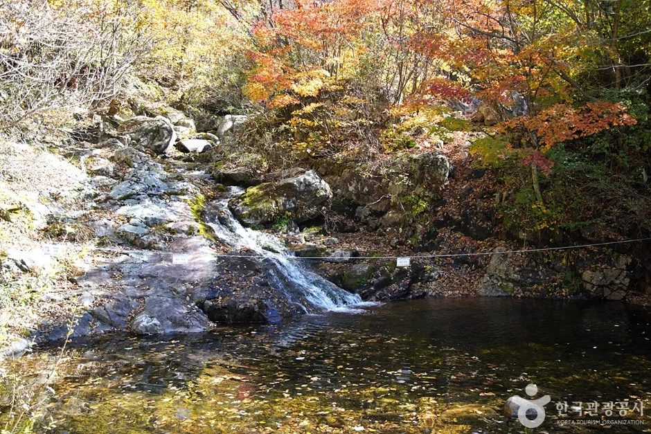 철원 복주산 임도 코스