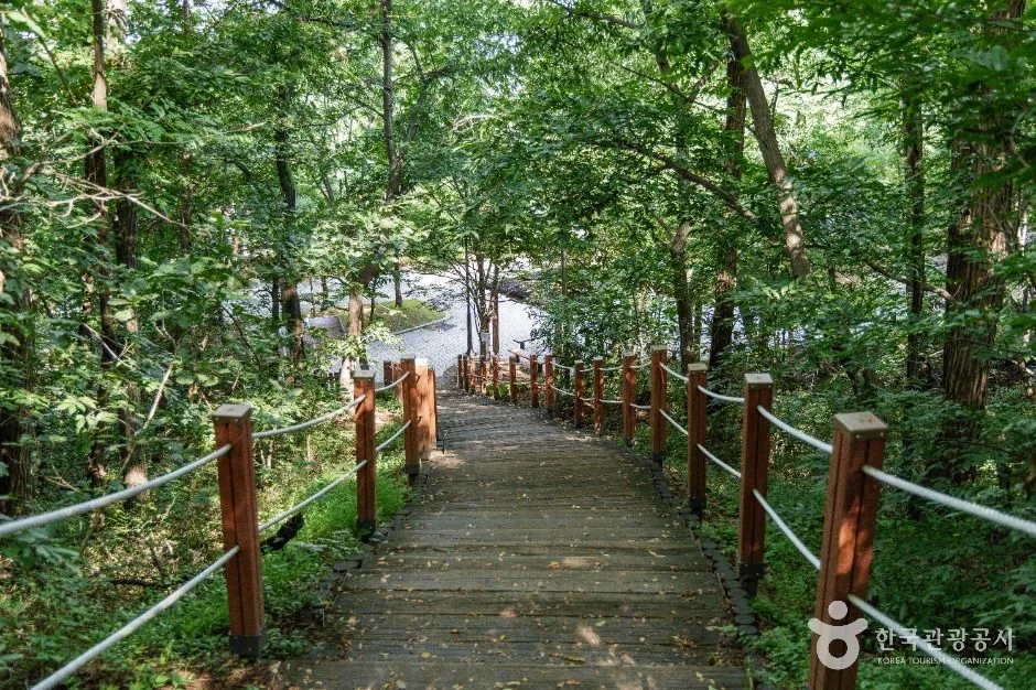 고양 아마존 풀코스