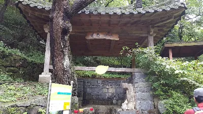 조경동(아침가리골)