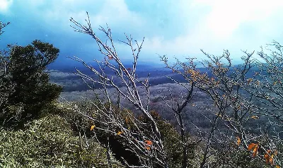 제주 한라산(관음사 - 삼각봉 - 백록담 - 사라오름 - 성판악)
