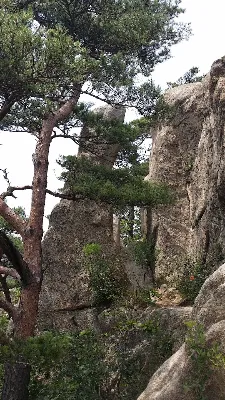 문경 대야산