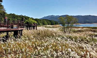 [대청호오백리길] 4구간 - 가을