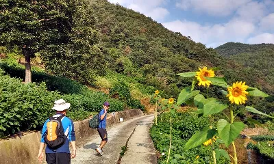 [대청호오백리길] 16구간 - 벌랏한지마을길