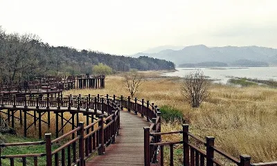 대청호오백리길 4구간