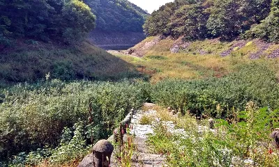 [대청호오백리길] 16구간 - 벌랏한지마을길
