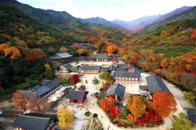 화엄사