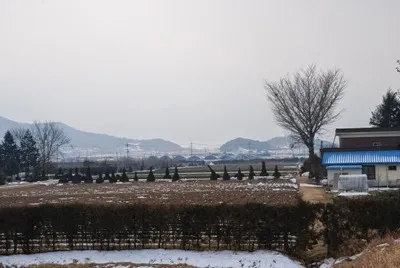 양묘사업장