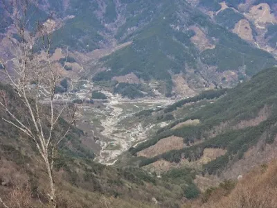 수박재