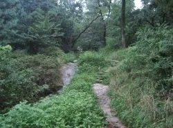 누수식 생태연못