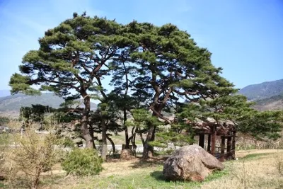 난동마을