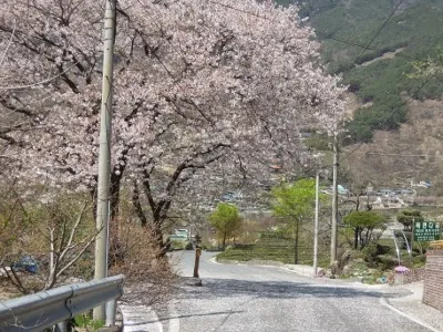 대비마을