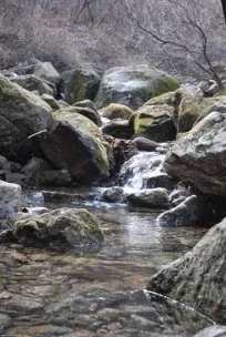 수성대