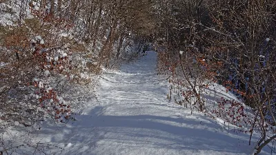 용화산 오봉산 연계산행 : 2017-01-22
