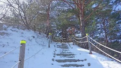 응봉산 (강원도 삼척) : 2017-01-21