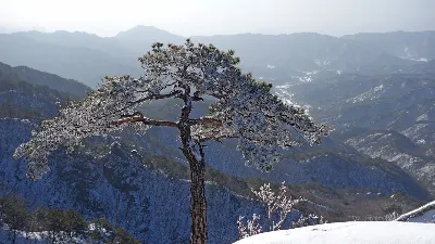 용화산 오봉산 연계산행 : 2017-01-22