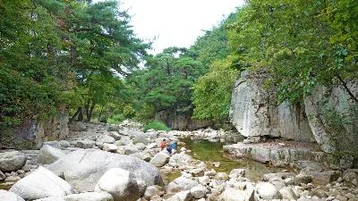 칠보산 (778m) [충북 괴산] : 2016-09-14