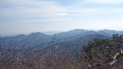 응봉산 (강원도 삼척) : 2017-01-21