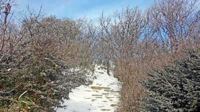 속리산:2017-01-27