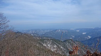 응봉산 (강원도 삼척) : 2017-01-21