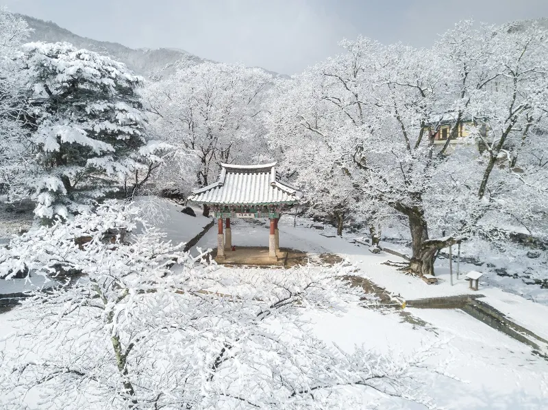 DMZ 평화의 길 32코스