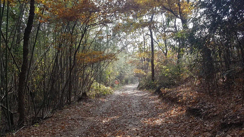 아름다운 순례길 5코스