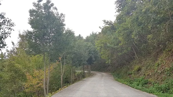 남파랑길 50코스