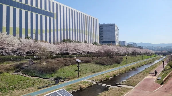 8코스 장지·탄천