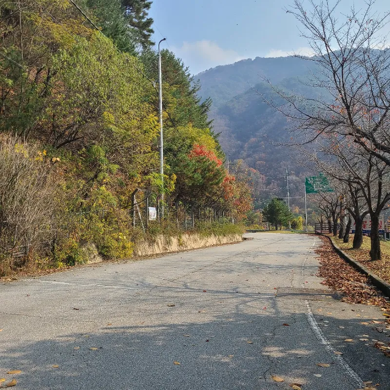 DMZ 평화의 길 24코스
