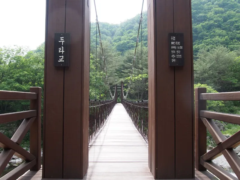 DMZ 평화의 길 26코스 (예약노선)