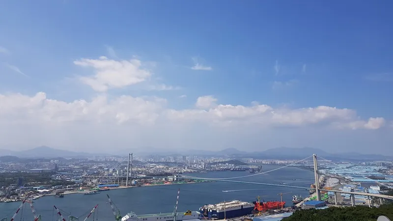 8코스