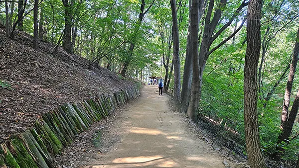 9코스 대모·구룡산