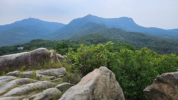 12코스 호암산
