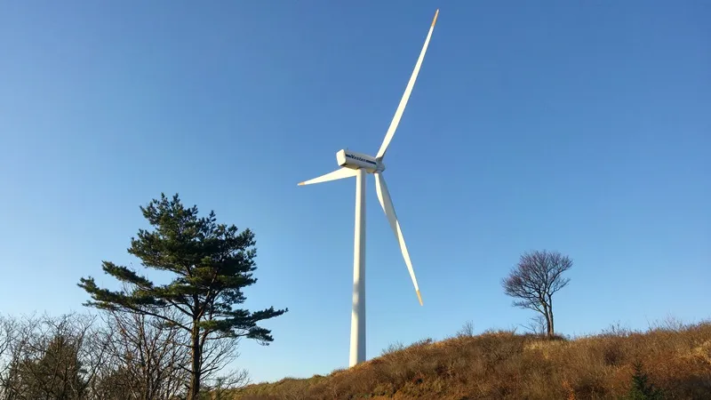 바우길 1코스 선자령 풍차길