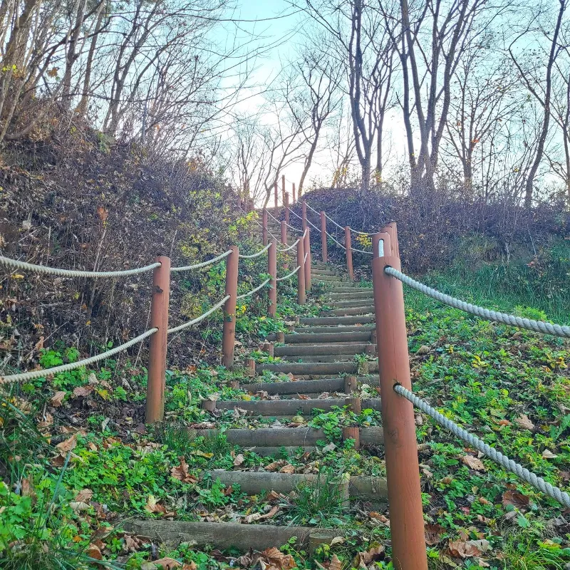 DMZ 평화의 길 29코스